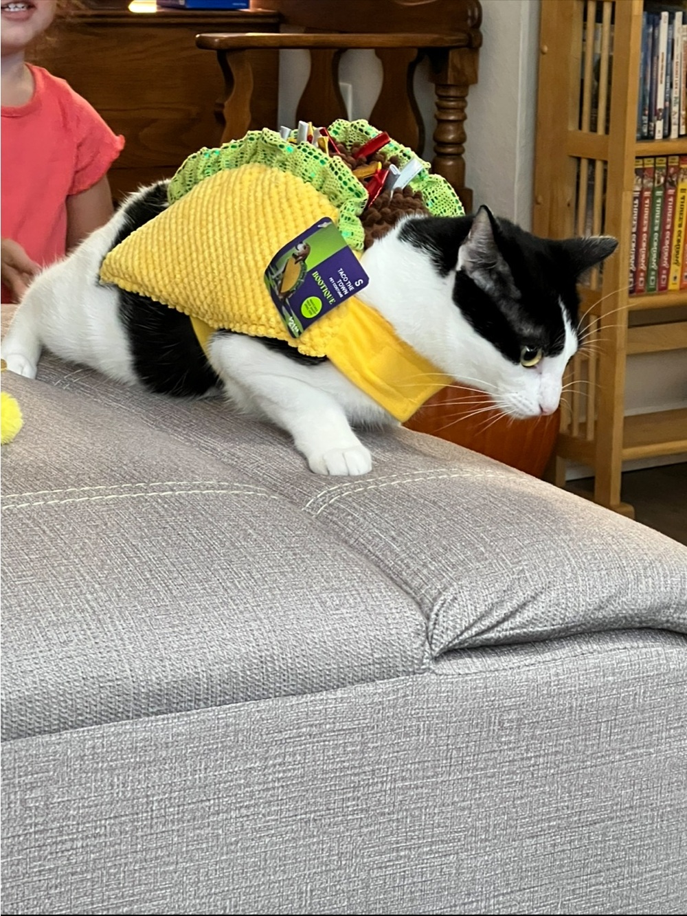******* Bootique Yellow & Green Taco Cat Harness Costume ******